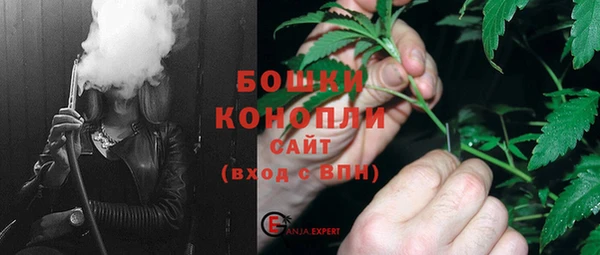 сатива Вяземский