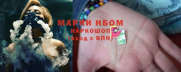 сатива Вяземский