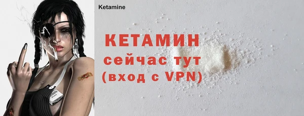 сатива Вяземский