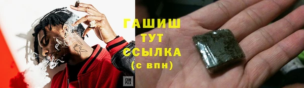 сатива Вяземский