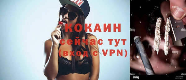 сатива Вяземский