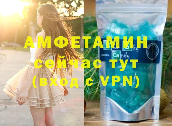 сатива Вяземский