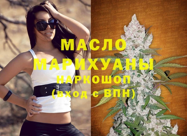 сатива Вяземский