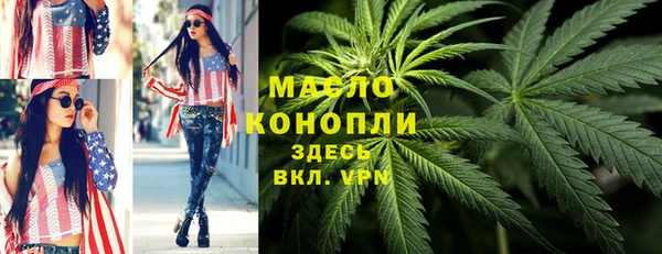 сатива Вяземский