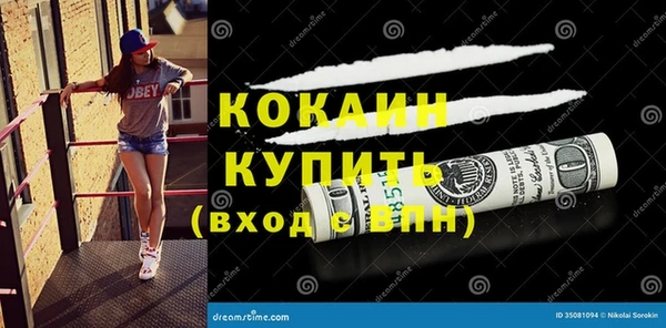 сатива Вяземский