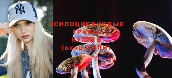 сатива Вяземский