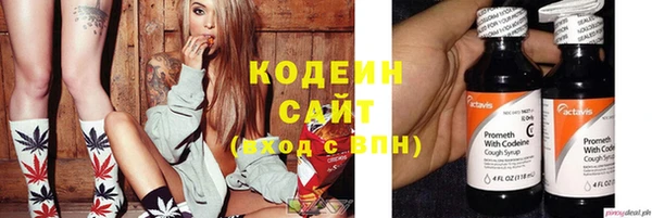 сатива Вяземский